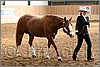 QH061_0266n.jpg(41,7 KB)