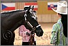 QH061_0269n.jpg(30,9 KB)