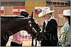 QH061_0270n.jpg(33,0 KB)