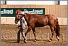 QH061_0273n.jpg(44,5 KB)