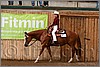 QH061_0274n.jpg(40,2 KB)