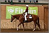 QH061_0275n.jpg(39,8 KB)