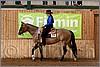 QH061_0276n.jpg(40,7 KB)