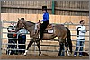 QH061_0278n.jpg(42,8 KB)