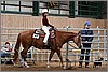 QH061_0279n.jpg(42,9 KB)