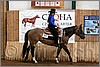 QH061_0281n.jpg(42,3 KB)