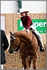 QH061_0283n.jpg(31,1 KB)