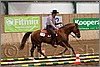 QH061_0346n.jpg(37,0 KB)