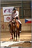 QH061_0347n.jpg(36,6 KB)