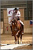 QH061_0348n.jpg(35,8 KB)