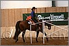 QH061_0350n.jpg(38,1 KB)