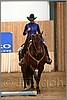 QH061_0351n.jpg(33,7 KB)