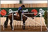 QH061_0353n.jpg(43,8 KB)