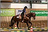 QH061_0354n.jpg(41,6 KB)
