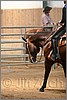 QH061_0360n.jpg(33,5 KB)