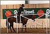 QH061_0371n.jpg(42,2 KB)