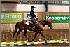 QH061_0372n.jpg(41,3 KB)