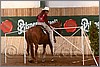 QH061_0380n.jpg(41,4 KB)