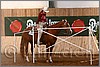 QH061_0381n.jpg(40,4 KB)