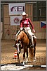 QH061_0385n.jpg(37,7 KB)