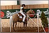 QH061_0393n.jpg(42,2 KB)