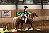 QH061_0396n.jpg(41,2 KB)