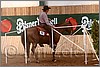QH061_0402n.jpg(41,8 KB)