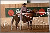 QH061_0403n.jpg(40,2 KB)