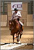 QH061_0406n.jpg(35,9 KB)