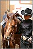 QH061_0411n.jpg(36,5 KB)