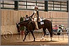 QH061_0416n.jpg(40,4 KB)