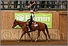 QH061_0418n.jpg(40,0 KB)