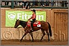 QH061_0419n.jpg(39,7 KB)