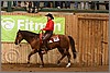 QH061_0426n.jpg(40,2 KB)