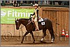 QH061_0427n.jpg(41,9 KB)