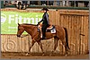 QH061_0429n.jpg(39,6 KB)