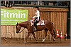 QH061_0431n.jpg(41,2 KB)