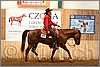 QH061_0439n.jpg(43,1 KB)