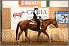 QH061_0446n.jpg(41,8 KB)