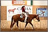 QH061_0449n.jpg(41,5 KB)