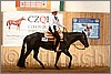 QH061_0451n.jpg(41,7 KB)