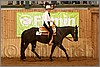 QH061_0453n.jpg(39,6 KB)