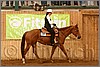 QH061_0454n.jpg(39,2 KB)