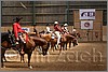 QH061_0457n.jpg(41,9 KB)