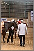 QH061_0459n.jpg(37,0 KB)
