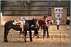 QH061_0460n.jpg(41,8 KB)