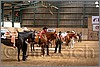 QH061_0462n.jpg(43,8 KB)