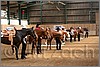 QH061_0463n.jpg(43,8 KB)