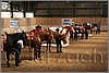 QH061_0464n.jpg(41,4 KB)