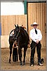 QH061_0465n.jpg(35,3 KB)